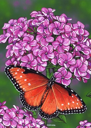 Framed Queen Butterfly Print