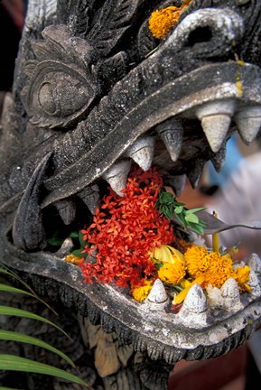 Framed Flower Offerings in Stone Dragon&#39;s Mouth, Laos Print