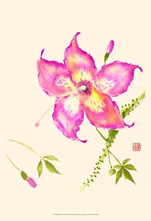 Framed Hibiscus Flower III Print