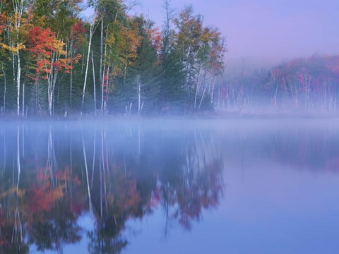 Framed Autumn Morning and Mist Print