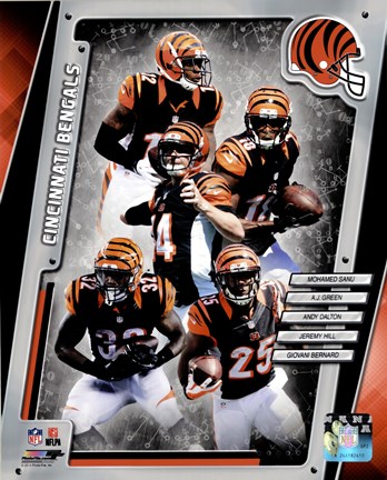 Framed Cincinnati Bengals 2014 Team Composite Print