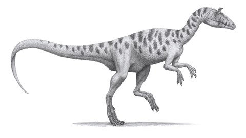 Framed Cryolophosaurus Elliotti Print