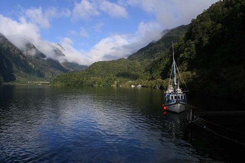 Framed Doubtful Sound, South Island, New Zealand Print