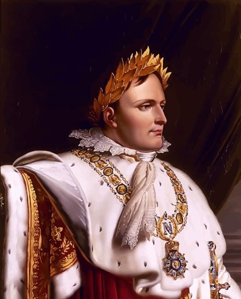 Framed Napoleon Bonaparte (side profile) Print