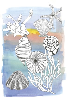 Framed Sea Shell II Print