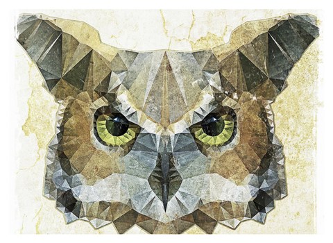 Framed Abstract Owl Print