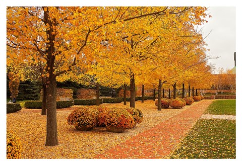 Framed Fall Walkway Print