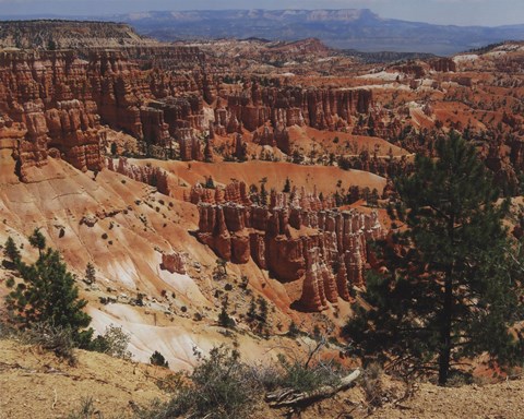 Framed Bryce Canyon National Park, Utah Print