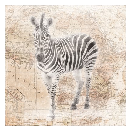 Framed African Animals - Zebra Print
