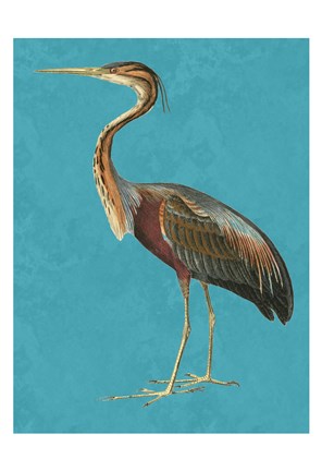 Framed Tall Bird 1 Print