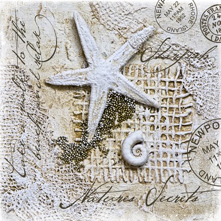 Framed Nature&#39;s Secrets - Starfish Print