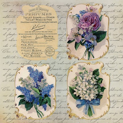 Framed Vintage Flower Labels Print