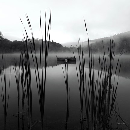 Framed Through the Reeds at Dawn Crop Print