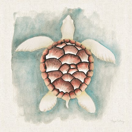 Framed Coastal Mist Sea Turtle Print