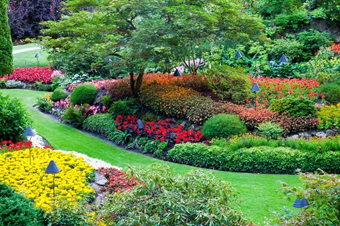 Framed Butchart Gardens in Full Bloom, Victoria, British Columbia, Canada Print