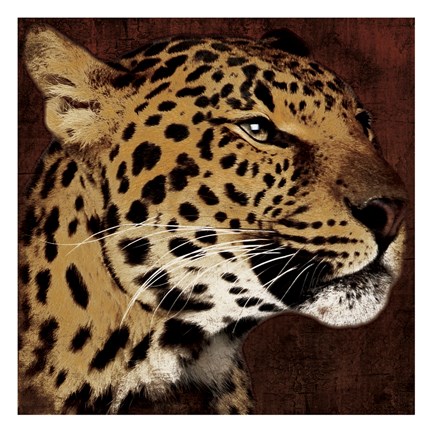 Framed Leopard 2 Print