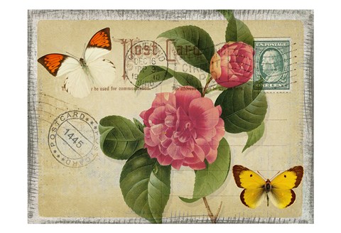 Framed Vintage Butterfly Postcard I Print
