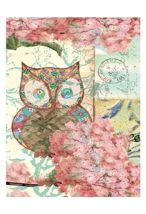 Framed Owl A Print