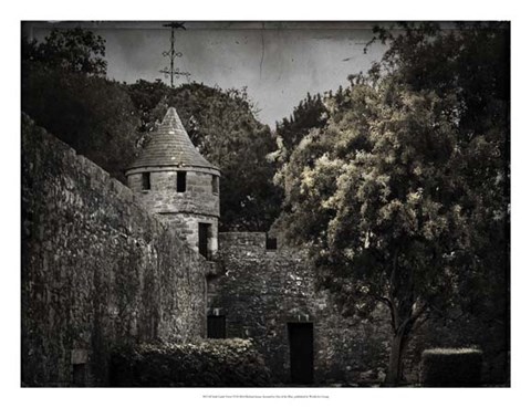 Framed Irish Castle Views VI Print