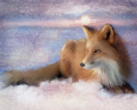 Framed Winter Fox Print