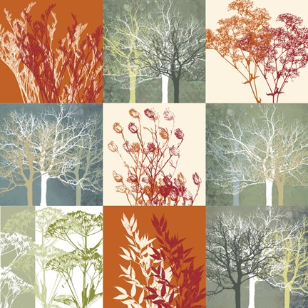 Framed Botanical Nine Print