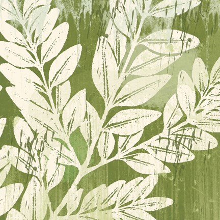 Framed Sage Foliage Print