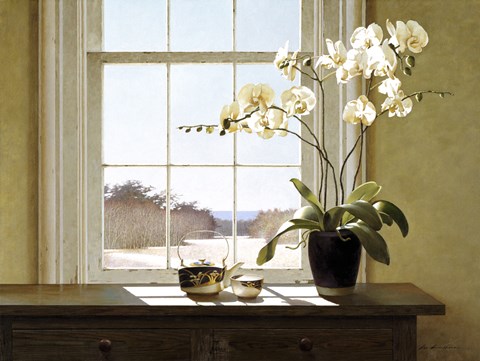 Framed Orchids In The Window 2 Print