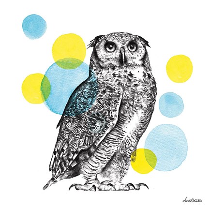 Framed Sketchbook Lodge Owl Print