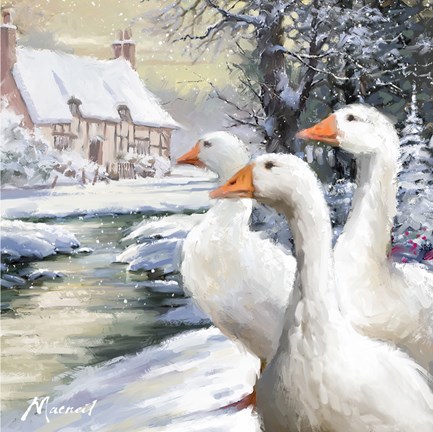 Framed Geese By Stream Print