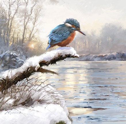 Framed Winter Kingfisher Print