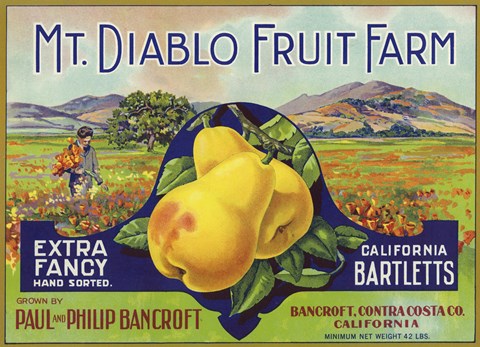 Framed Mt. Diablo Fruit Farm Bartletts Print