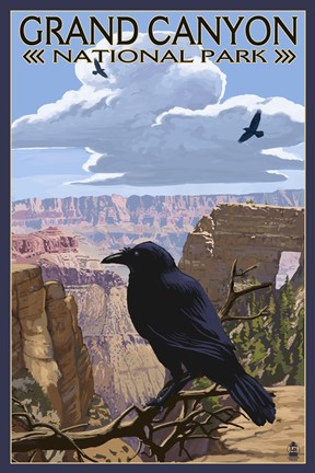 Framed Grand Canyon National Park (crow) Print