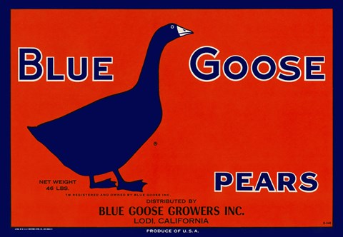 Framed Blue Goose Pears Print