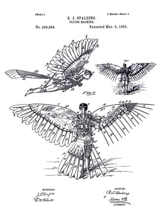 Framed Flying Machine, R. J. Spalding Print