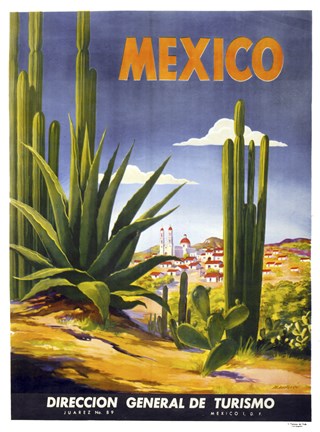 Framed Mexico Cactus Print