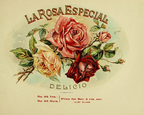 Framed La Rosa Print