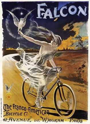 Framed Falcon Bicycle Print