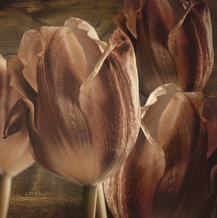 Framed Copper Tulips Print