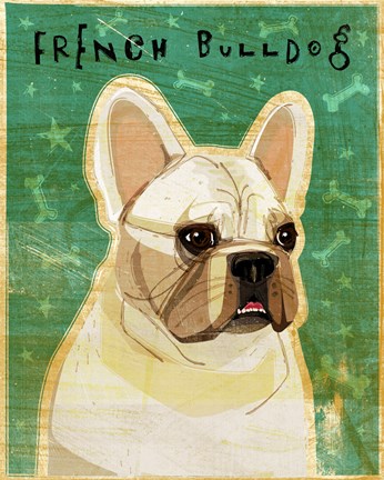 Framed French Bulldog - White Print