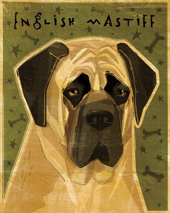 Framed English Mastiff Print