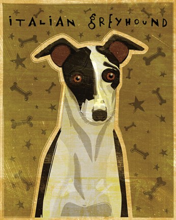 Framed Italian Greyhound - Black and White Print