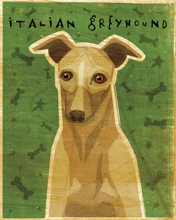 Framed Italian Greyhound - Fawn Print