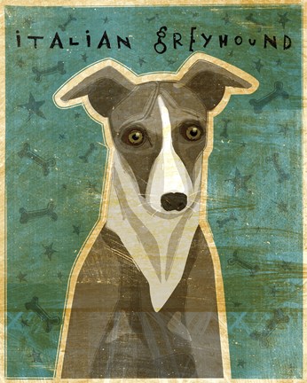 Framed Italian Greyhound - White and Grey Print