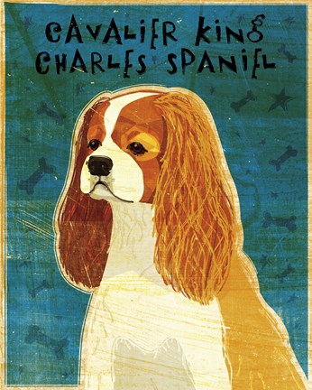 Framed Cavalier King Charles (Blenheim) Print