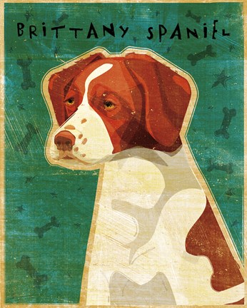 Framed Brittany Spaniel Print