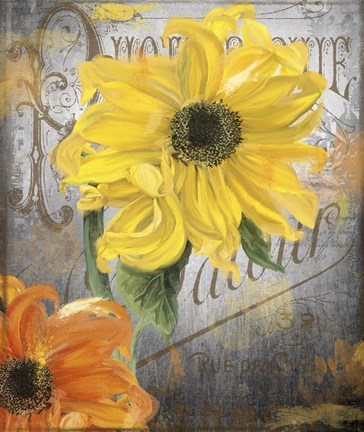 Framed Sunflower Studio Print