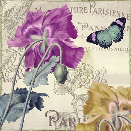 Framed Petals of Paris III Print