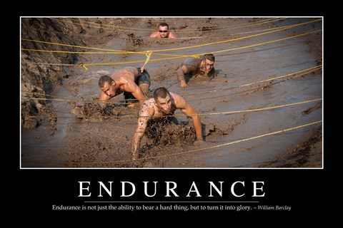 Framed Endurance: Inspirational Quote and Motivational Poster Print