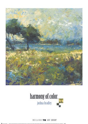 Framed Harmony of Color I Print