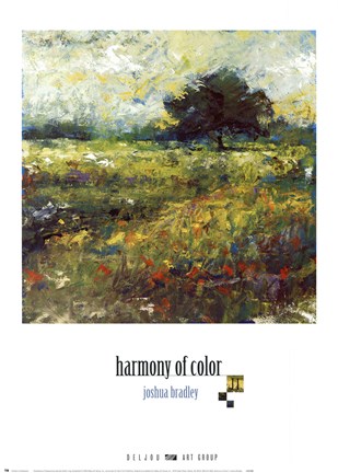 Framed Harmony of Color II Print